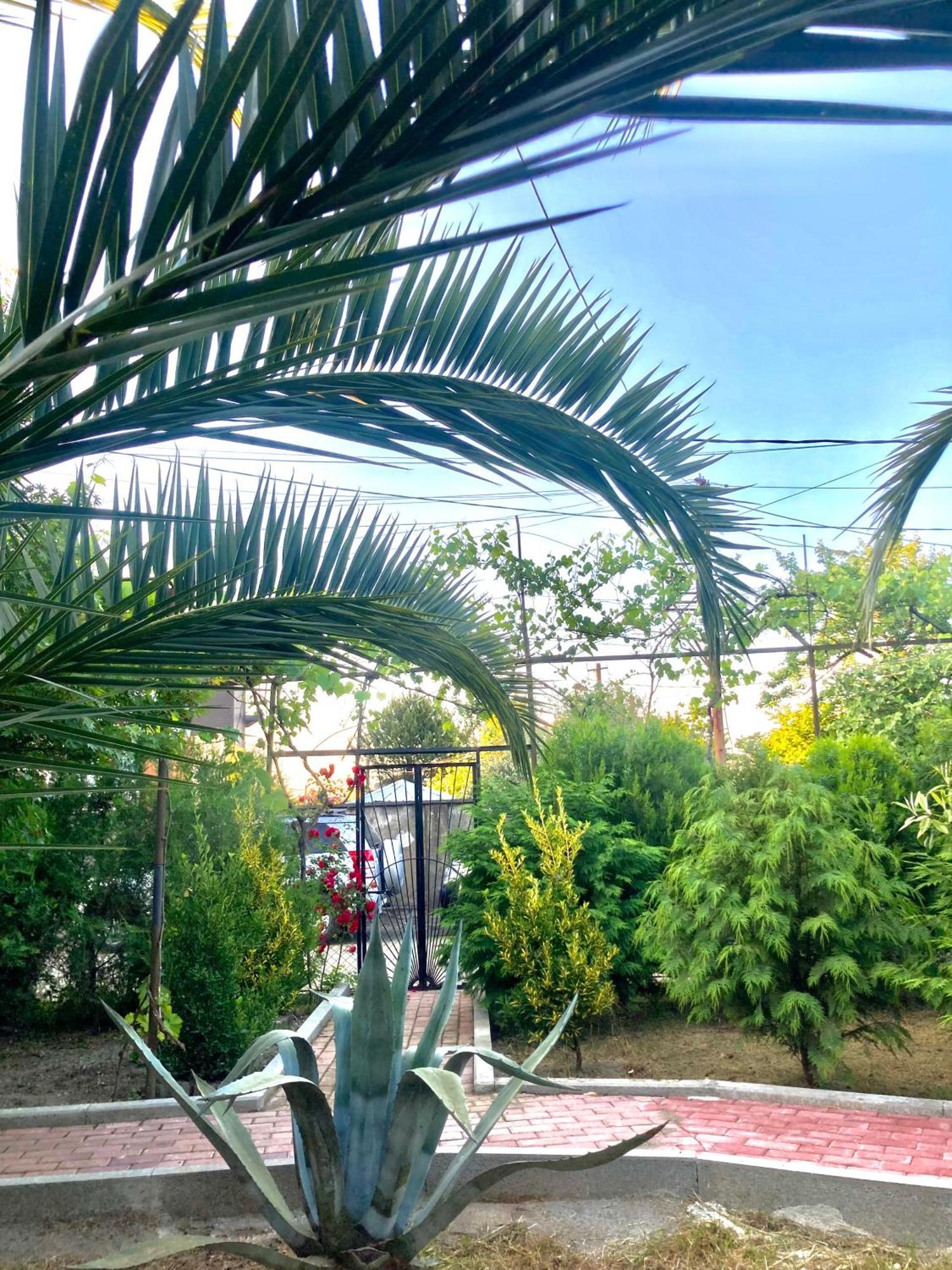 Hotel Lukas'S House Kobuleti Zewnętrze zdjęcie